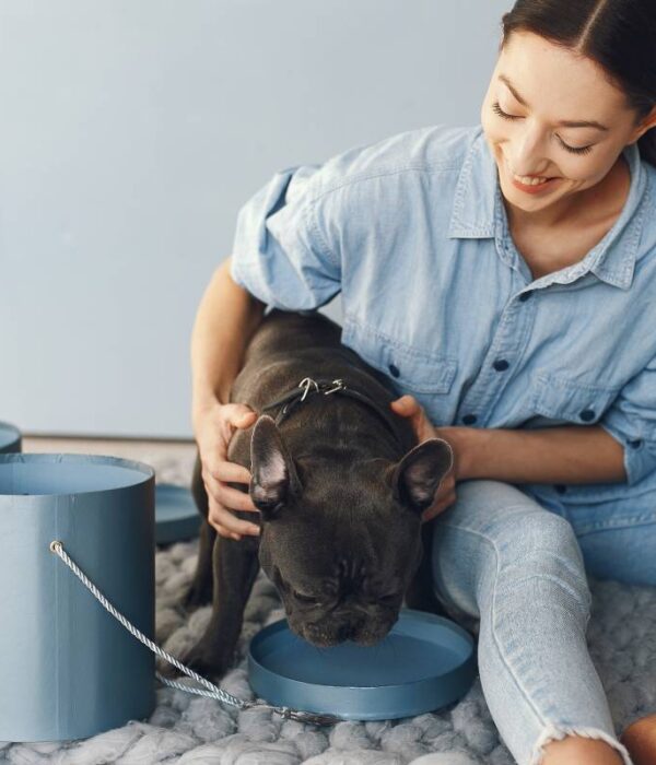 elegant-woman-blue-shirt-with-black-bulldog-min